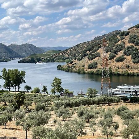 Вилла Douro Visit House Торри-ди-Монкорву Экстерьер фото