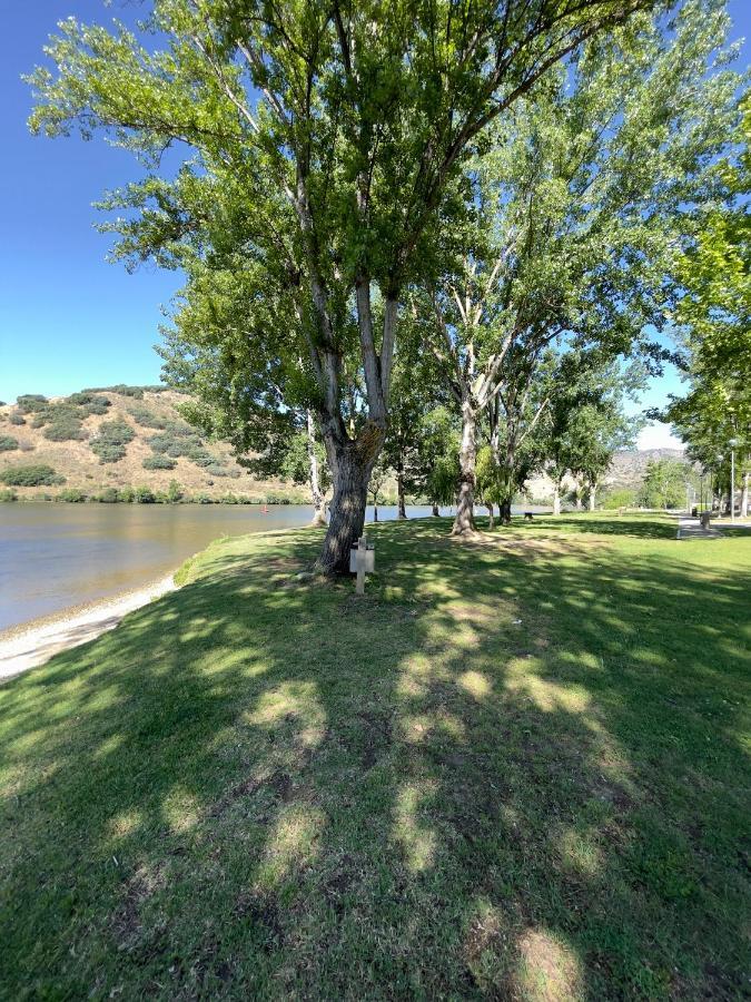 Вилла Douro Visit House Торри-ди-Монкорву Экстерьер фото