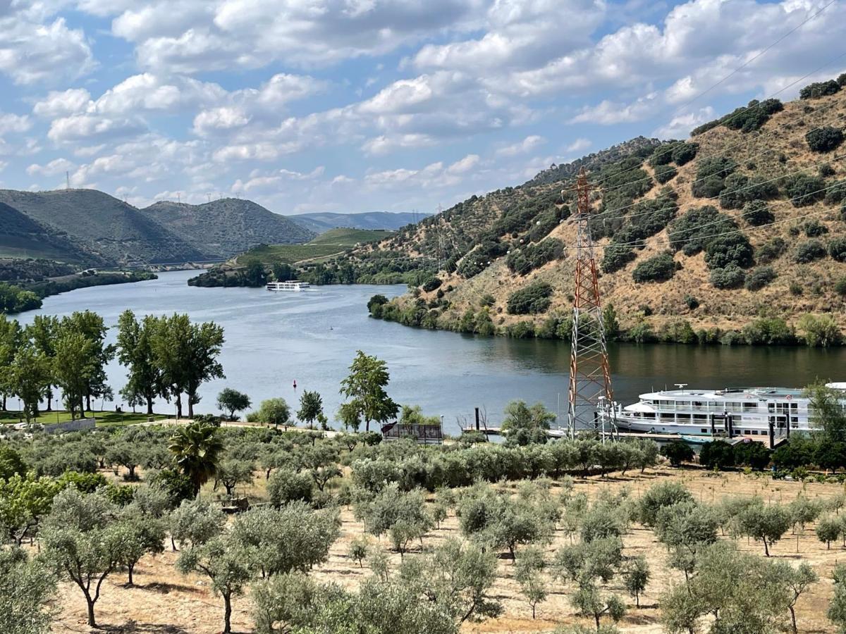 Вилла Douro Visit House Торри-ди-Монкорву Экстерьер фото