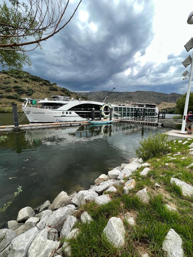 Вилла Douro Visit House Торри-ди-Монкорву Экстерьер фото